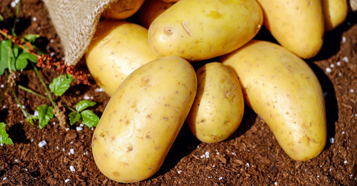 How many calories are in a potato?